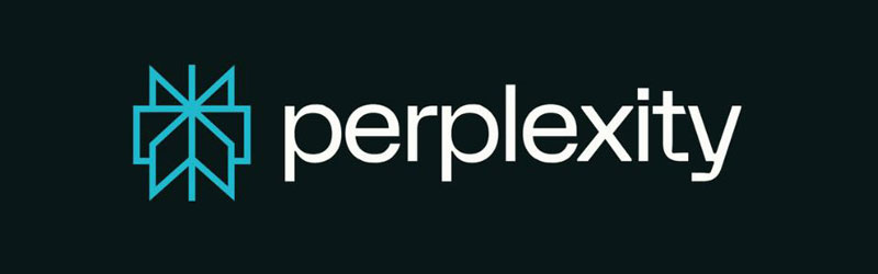 perplexity ai
